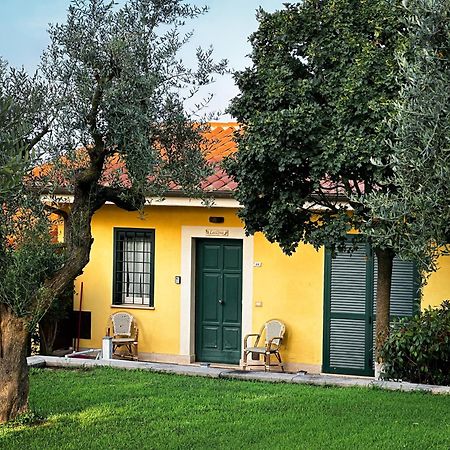 La Vista Agriturismo Boutique Ariccia Exterior photo